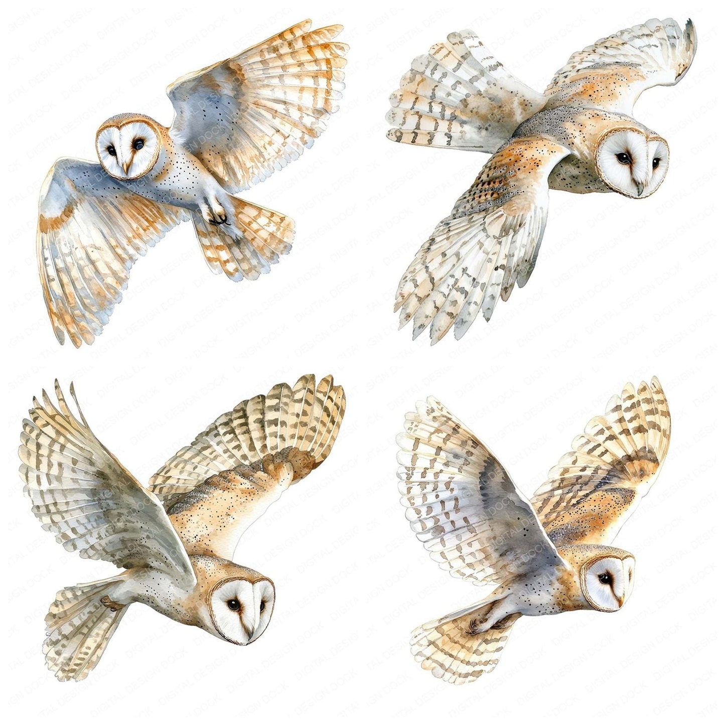 Regal Barn Owl Clipart Set (DDD006406)
