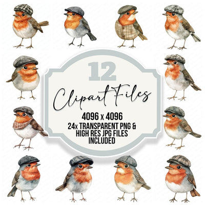 Robin with Flat Cap on clipart set cover showing the designs and file details