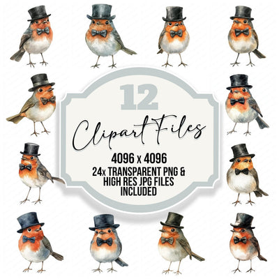 Robin with Top Hat on clipart set cover showing the designs and file details