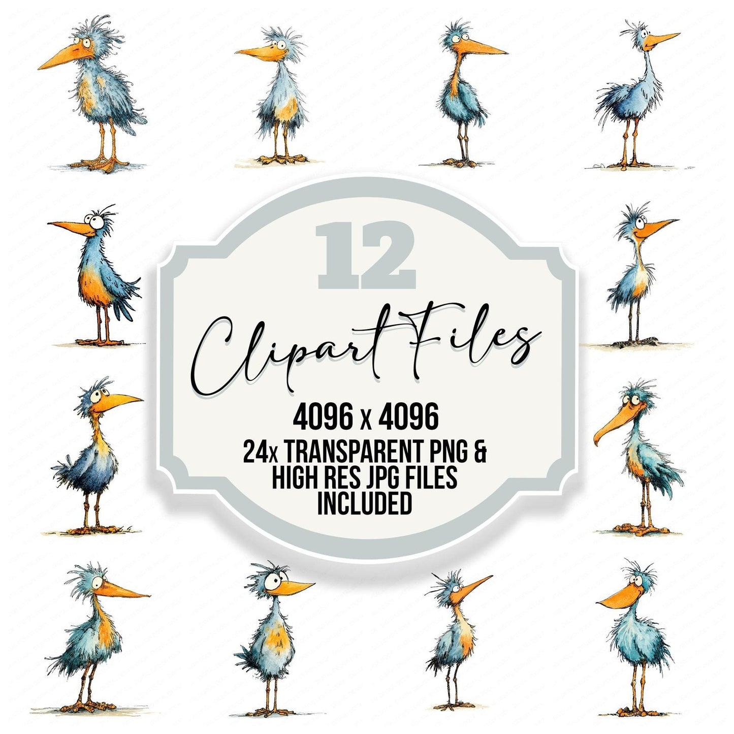 Scruffy Long Leg Bird Character Clipart Set (DDD006519)