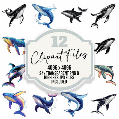 Serene Whale clipart set cover showing the designs and file details