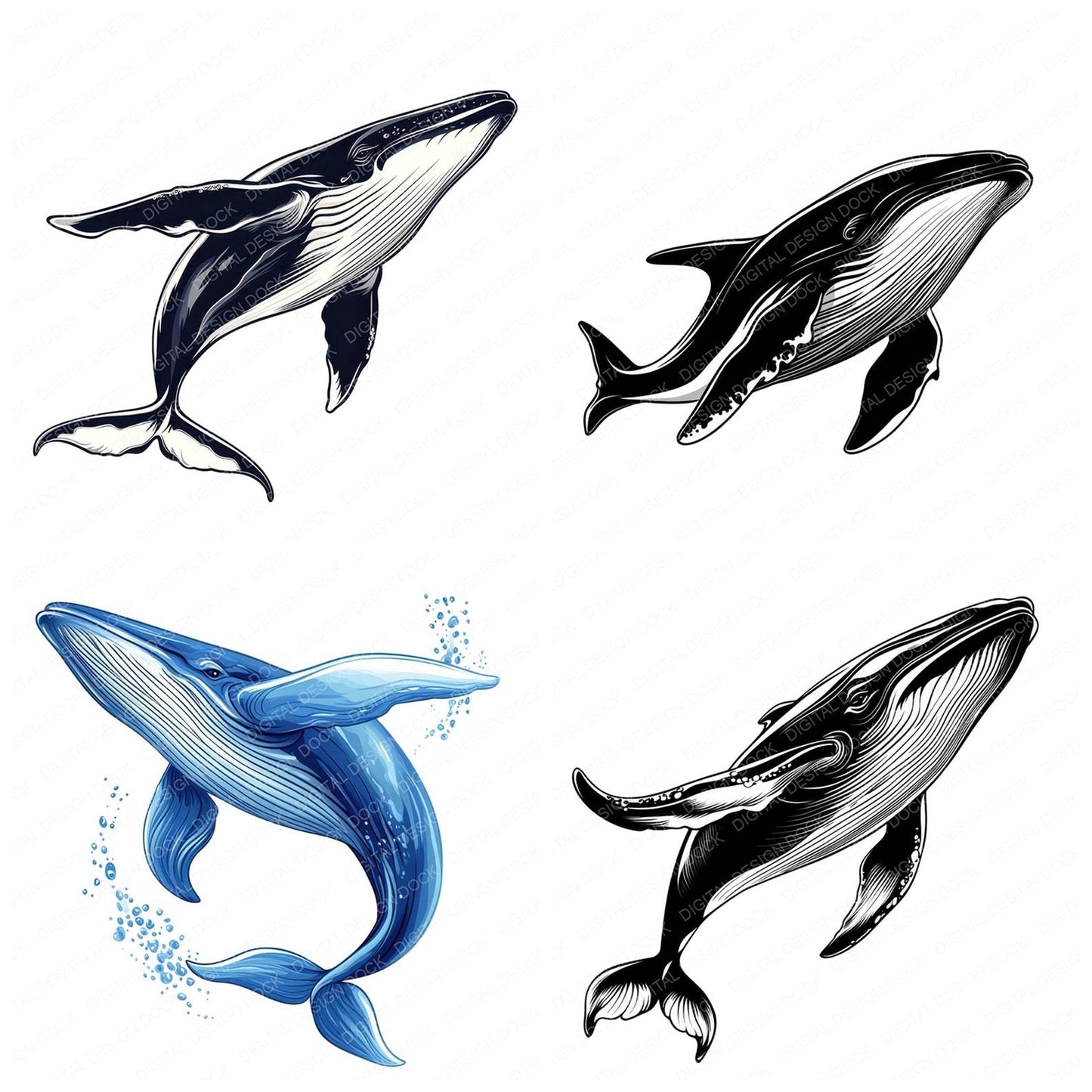 Serene Whale Clipart Set (DDD006529)