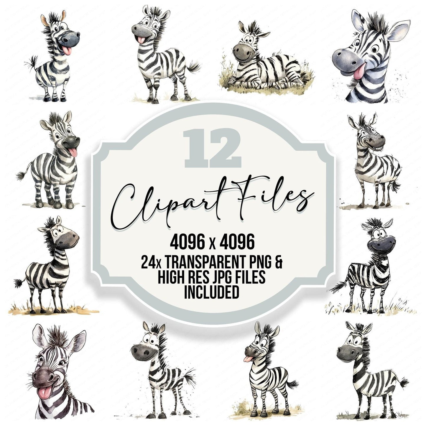 Silly Zebra Character Clipart Set (DDD006548)