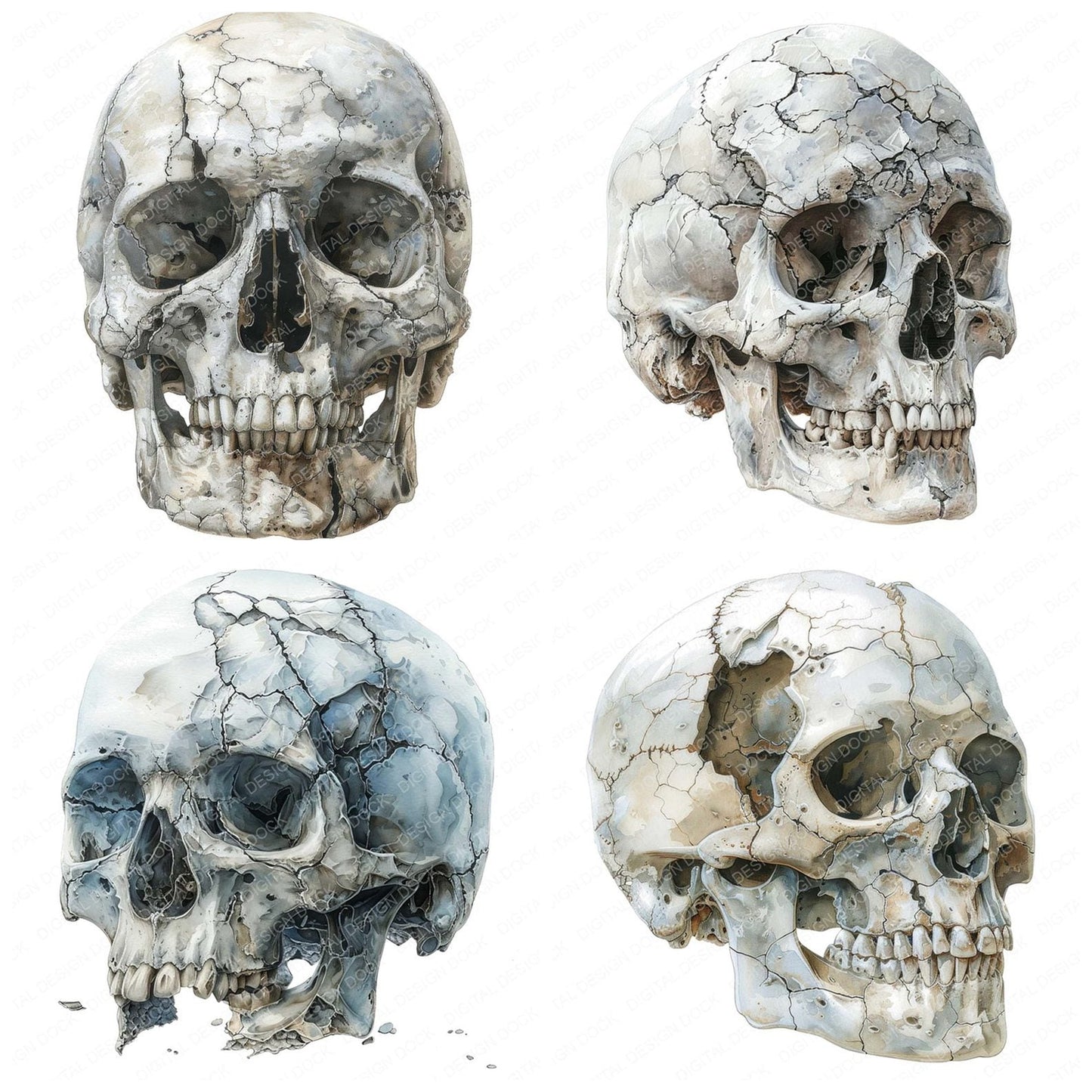 Skull Cracked Surface Clipart Set (DDD006563)