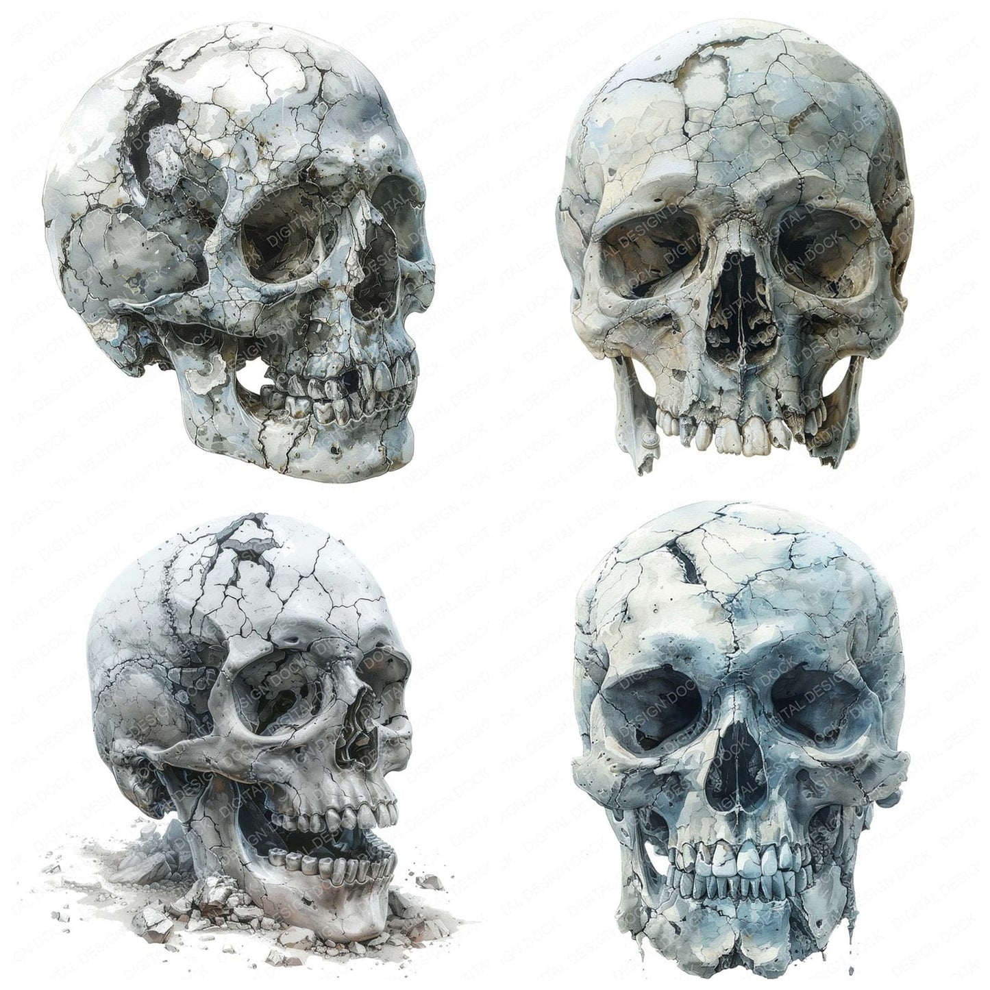Skull Cracked Surface Clipart Set (DDD006563)