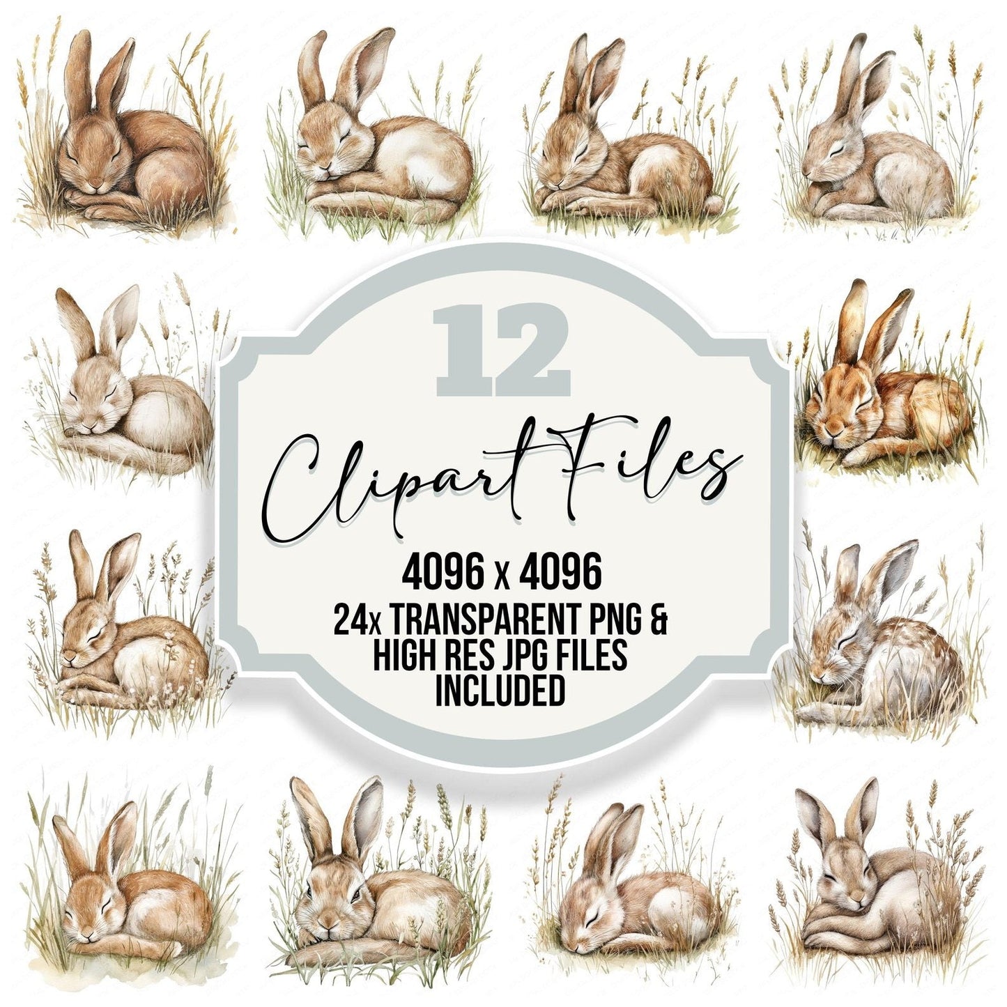 Sleepy Hare in Tall Grass Clipart Set (DDD006579)