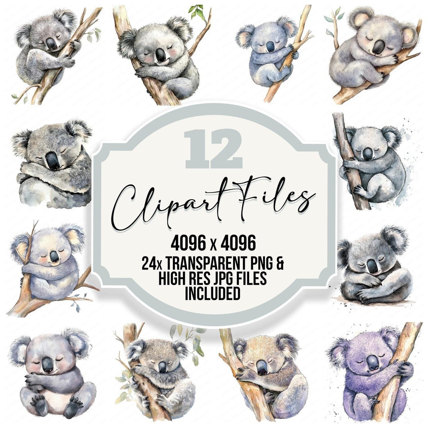 Sleepy Koala Clipart Set (DDD006580)