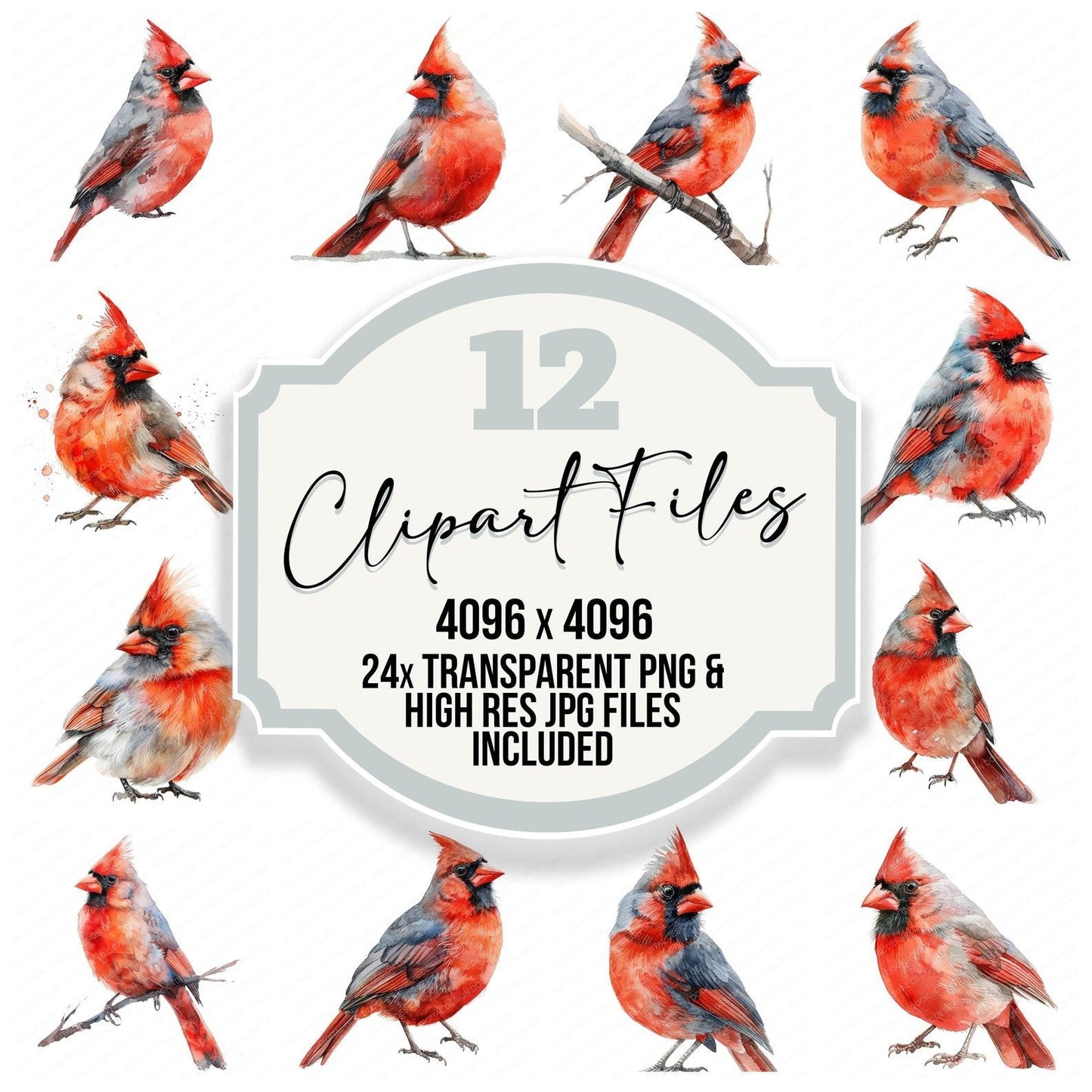 Small Red Cardinal Clipart Set (DDD006588)