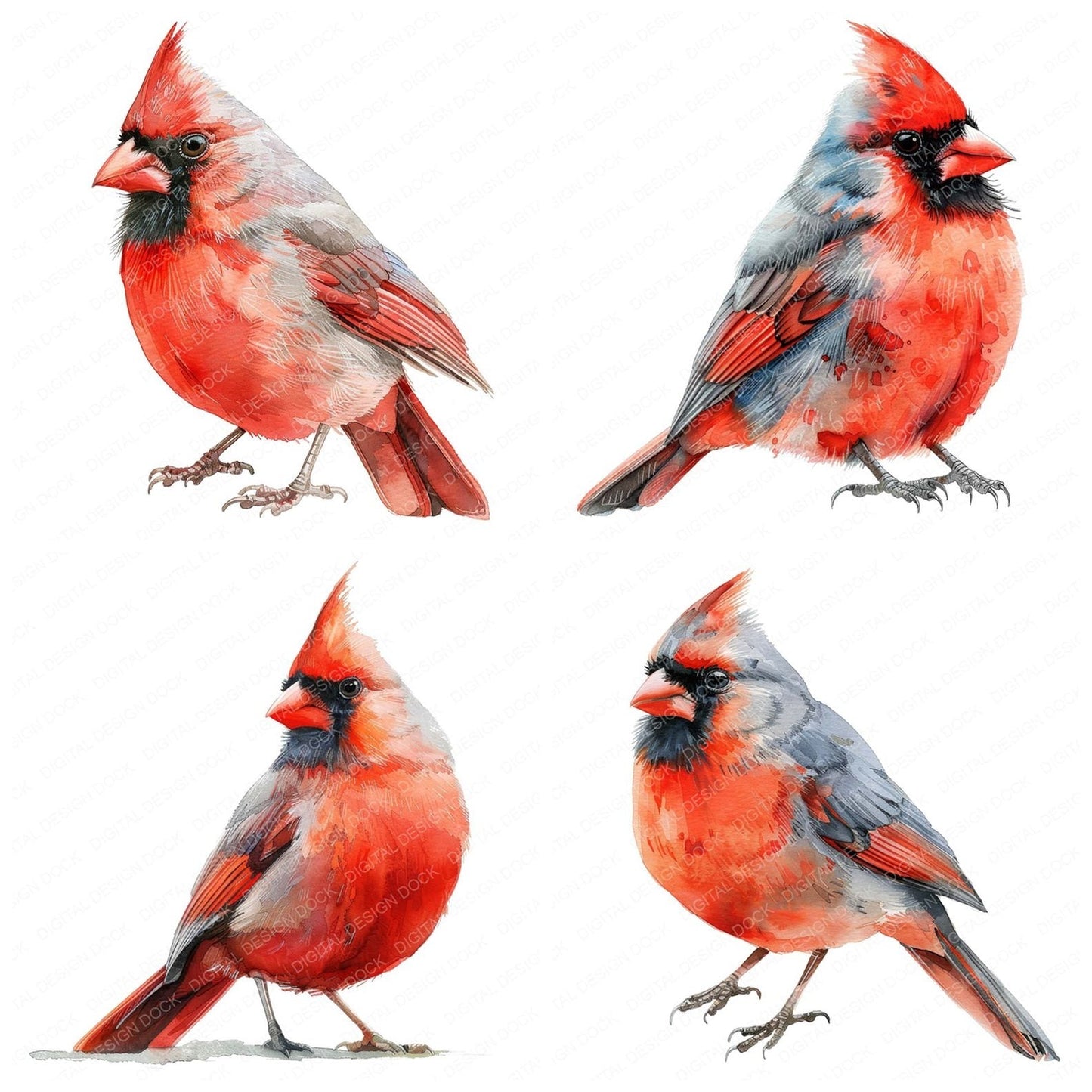 Small Red Cardinal Clipart Set (DDD006588)