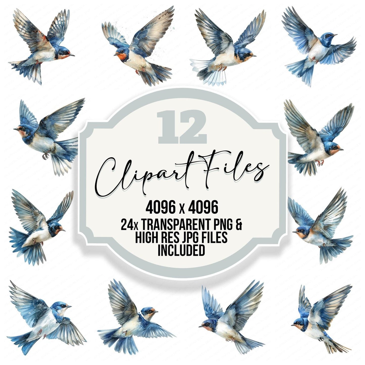 Small Swallow Clipart Set (DDD006590)