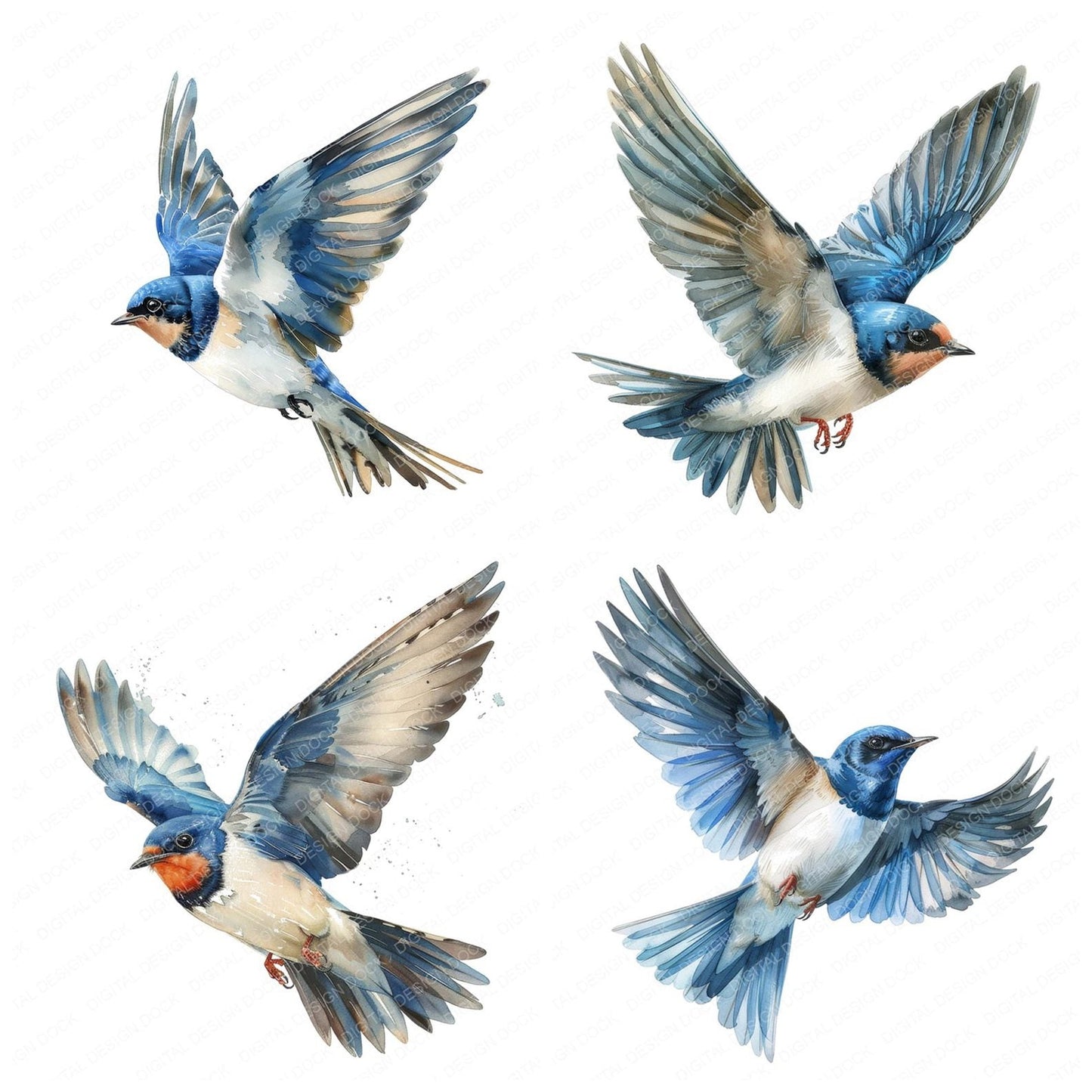 Small Swallow Clipart Set (DDD006590)