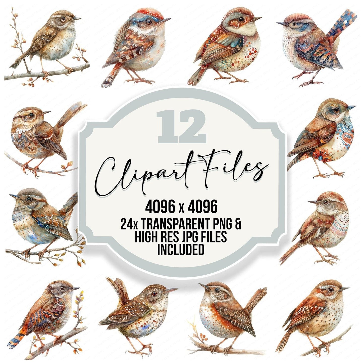 Small Wren Clipart Set (DDD006591)