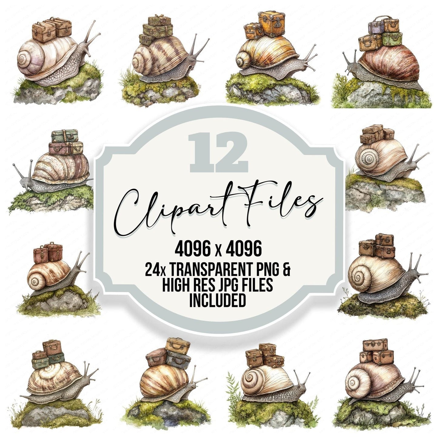 Snail with Tiny Suitcase Clipart Set (DDD006598)