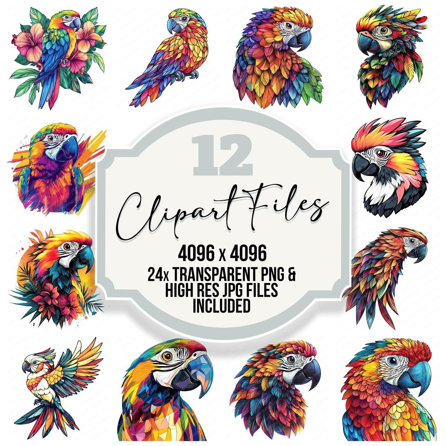 Stylized Parrot Clipart Set (DDD006670)