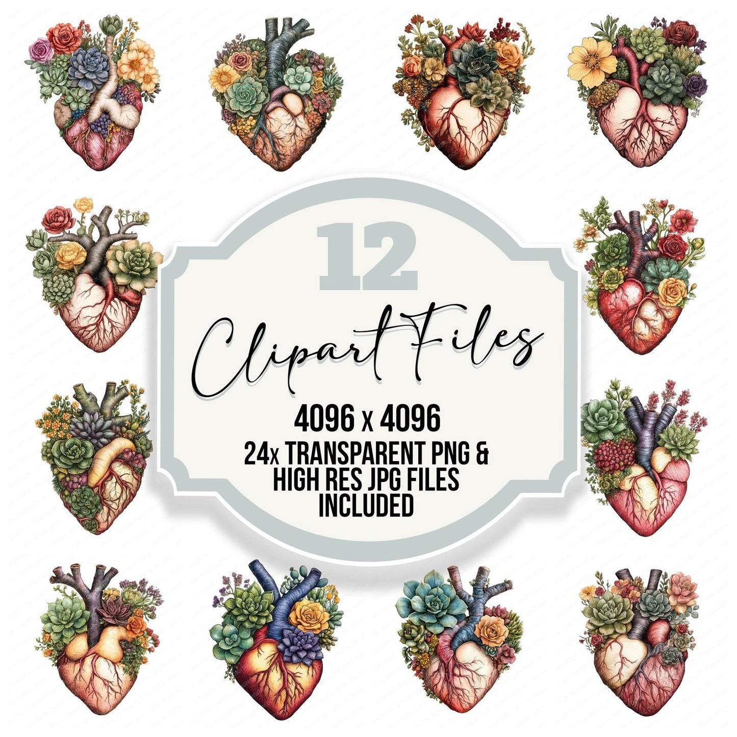 Succulent Plant Heart Clipart Set (DDD006672)