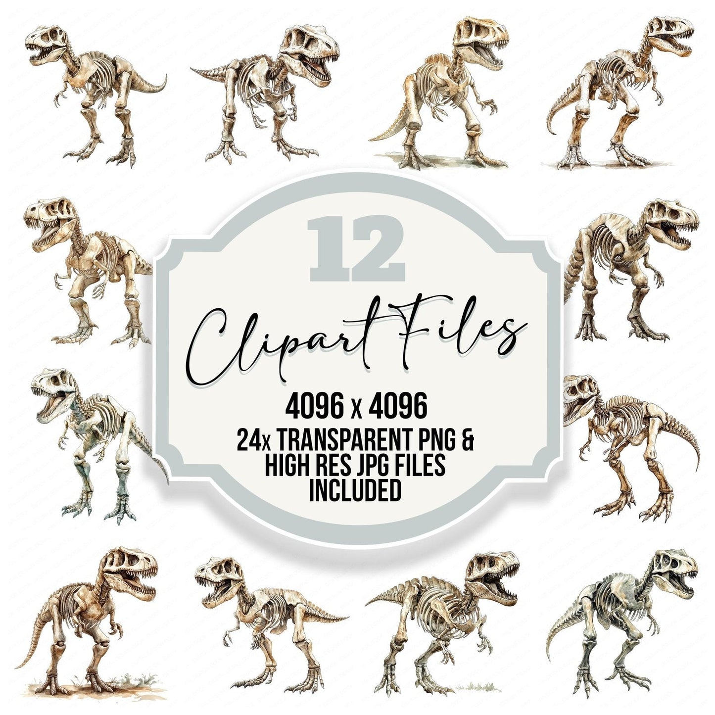 T-Rex Dinosaur Skeleton Clipart Set (DDD006690)