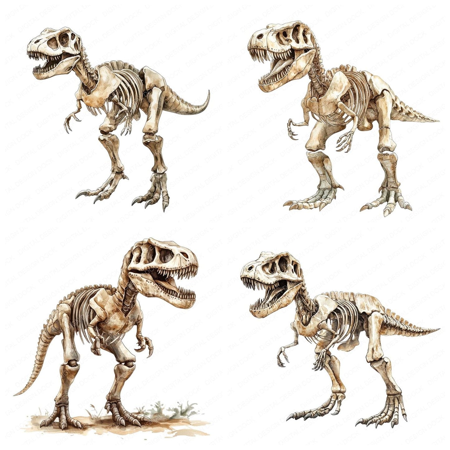 T-Rex Dinosaur Skeleton Clipart Set (DDD006690)