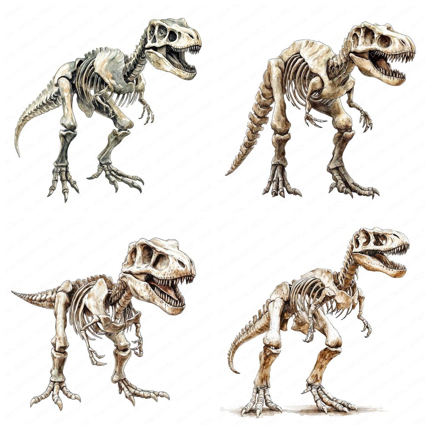 T-Rex Dinosaur Skeleton Clipart Set (DDD006690)