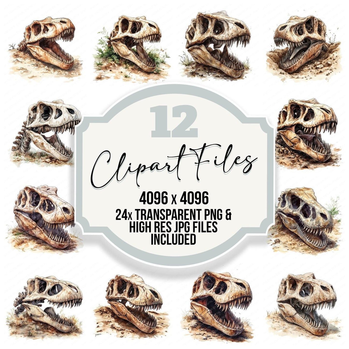 T-Rex Dinosaur Skull Clipart Set (DDD006691)