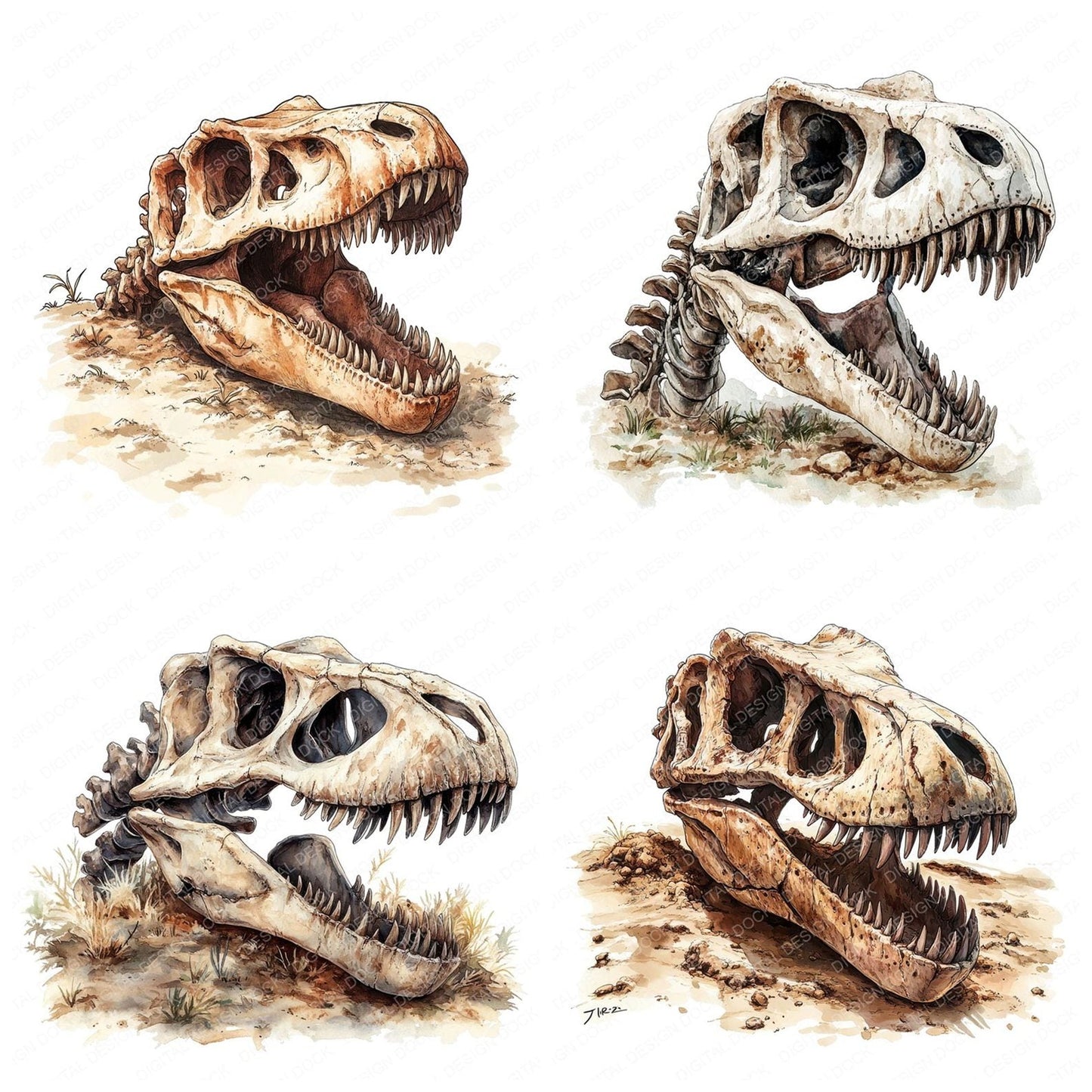T-Rex Dinosaur Skull Clipart Set (DDD006691)
