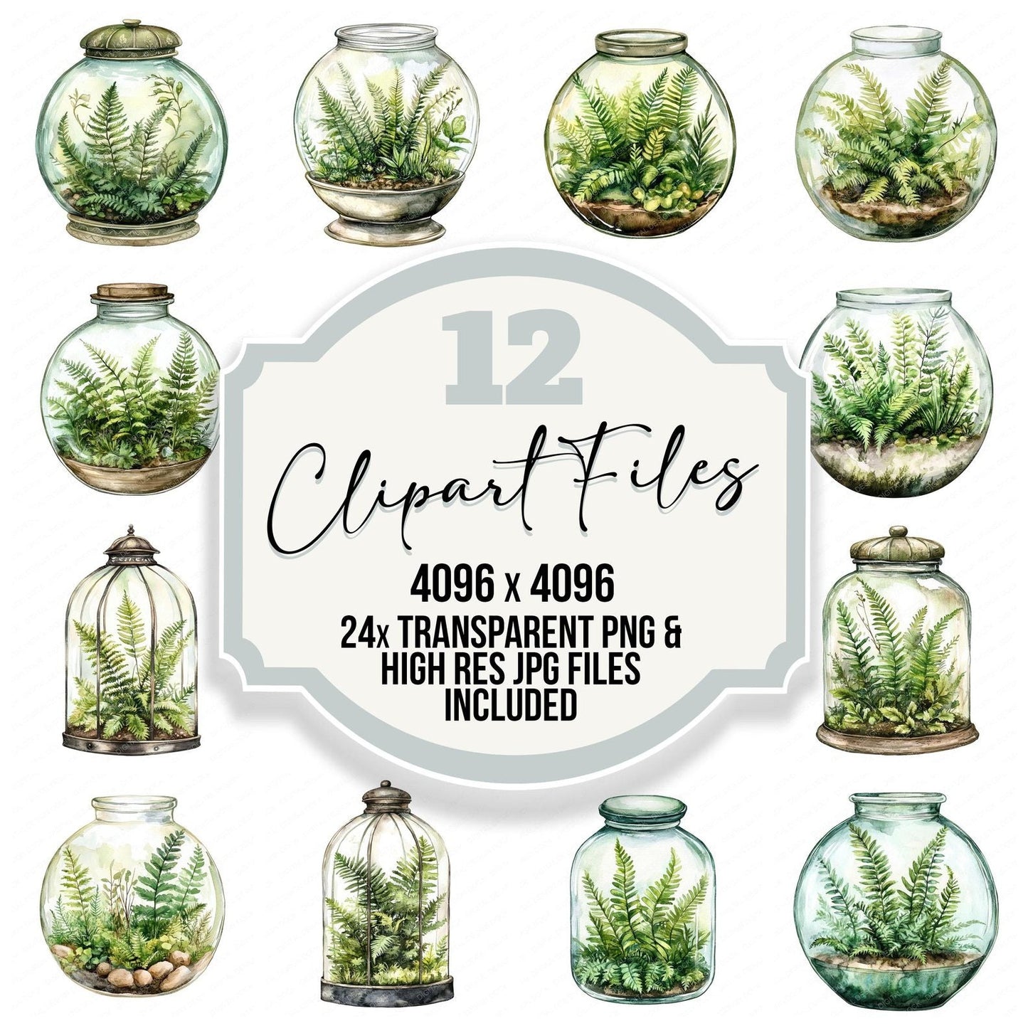 Terrarium Ferns Clipart Set (DDD006742)