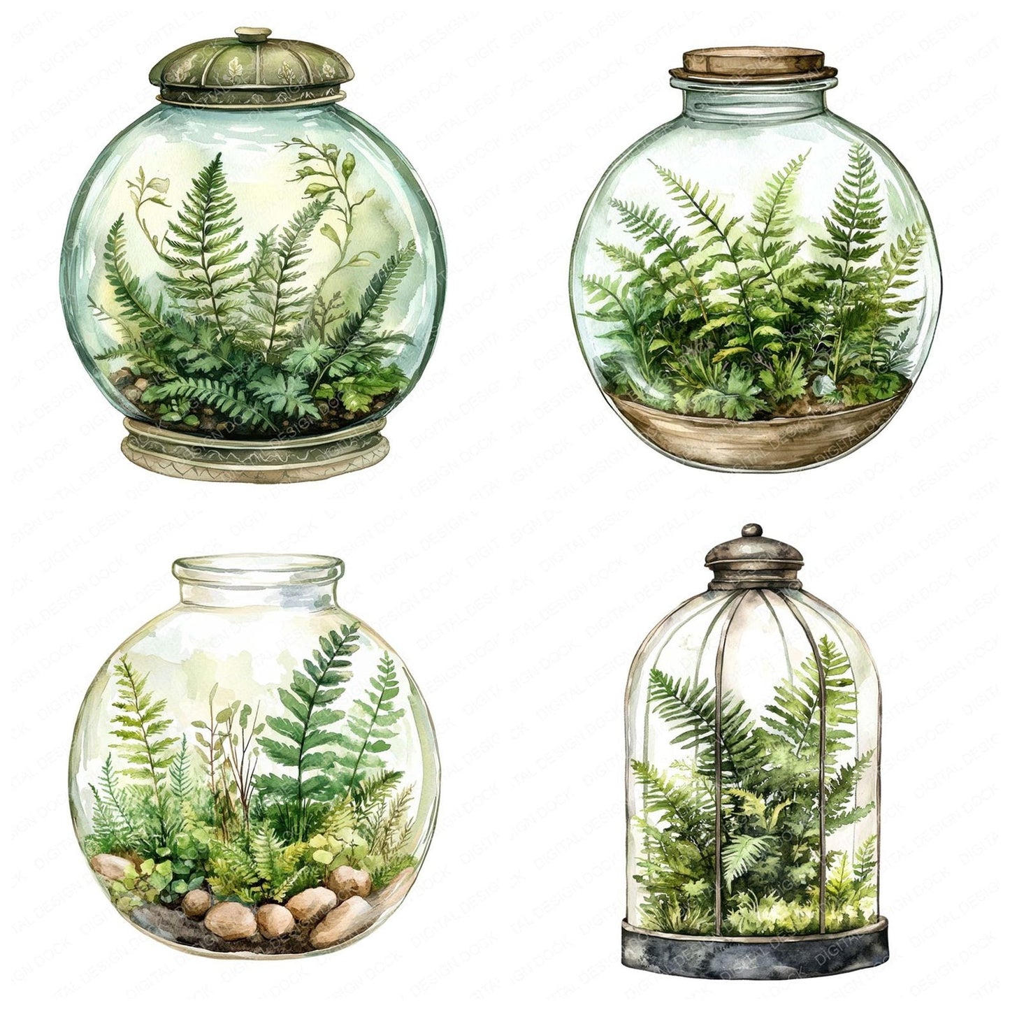 Terrarium Ferns Clipart Set (DDD006742)