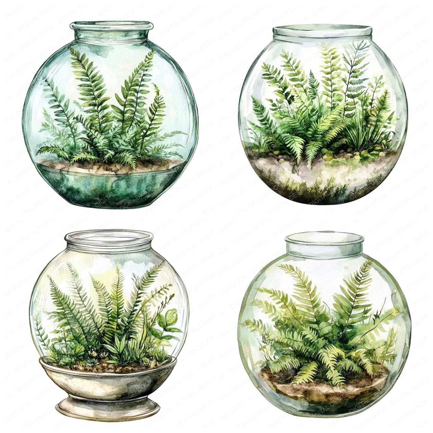 Terrarium Ferns Clipart Set (DDD006742)