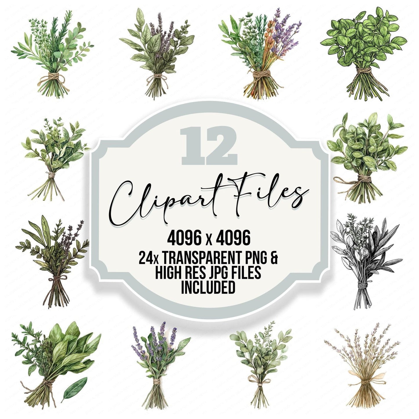 Tied Herb Bundle Clipart Set (DDD006752)