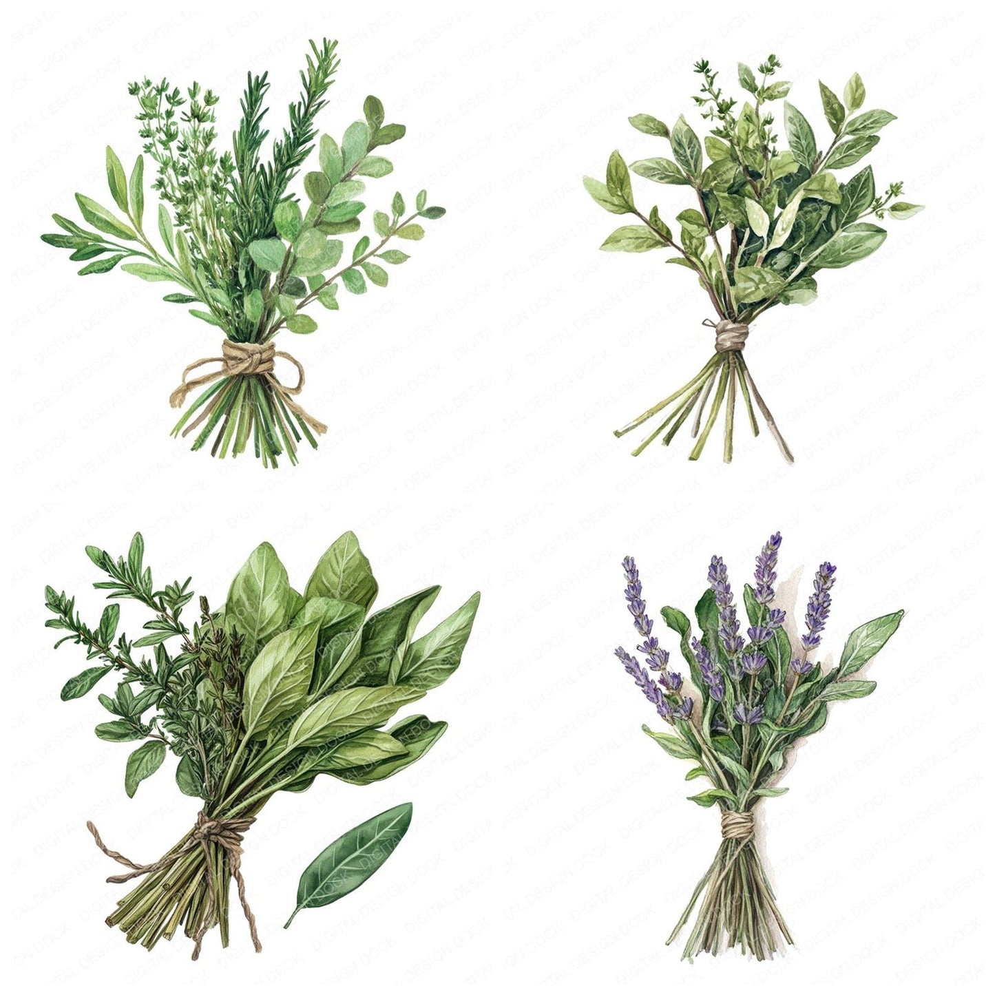 Tied Herb Bundle Clipart Set (DDD006752)