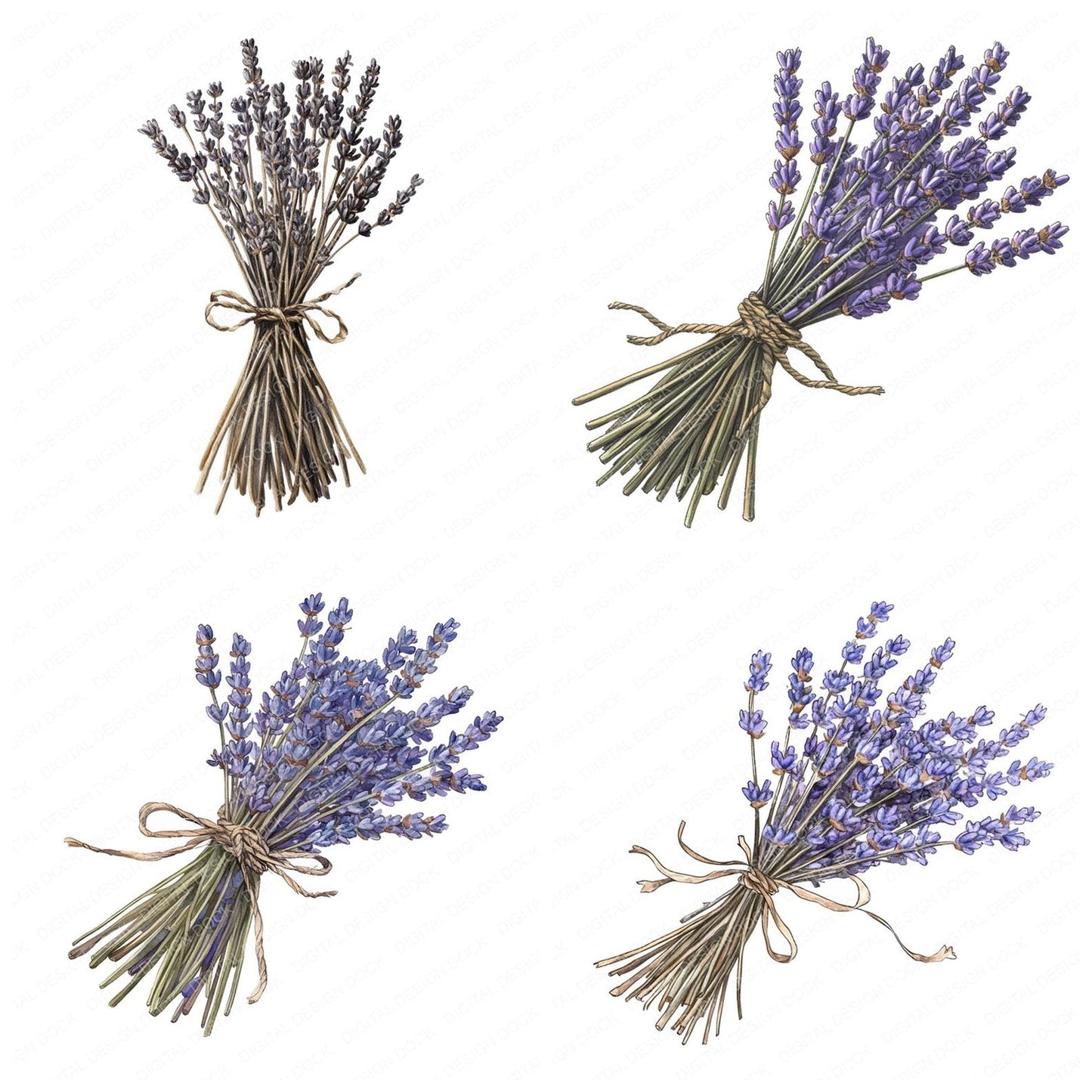 Tied Lavender Bundle Clipart Set (DDD006753)