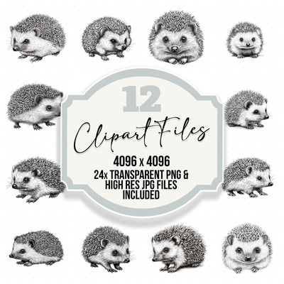 Tiny Hedgehog Sketch Clipart Set (DDD006761)