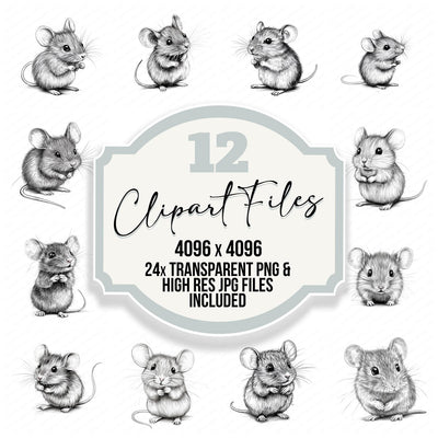 Tiny Mouse Sketch Clipart Set (DDD006762)