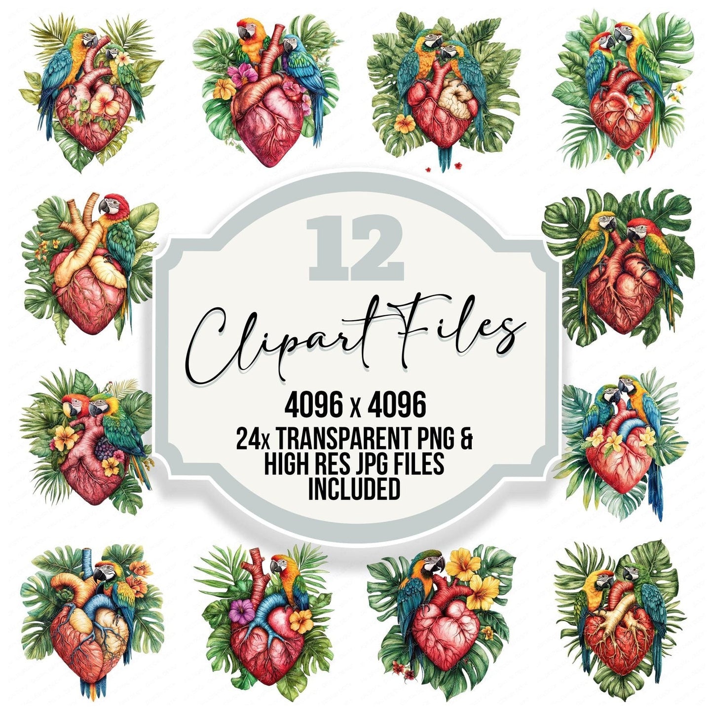 Tropical Plant Heart Clipart Set (DDD006785)