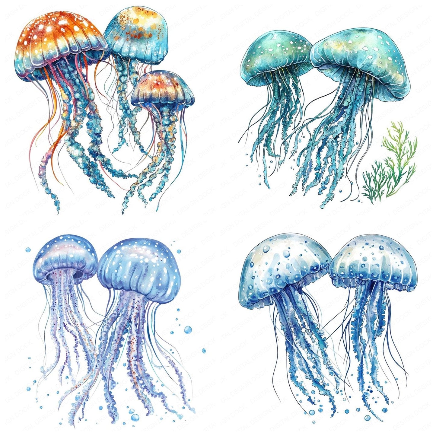 Underwater Jellyfish Clipart Set (DDD006803)