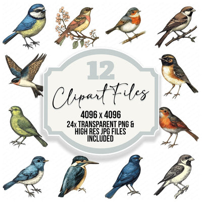 Vintage Garden Birds clipart set cover showing the designs and file details