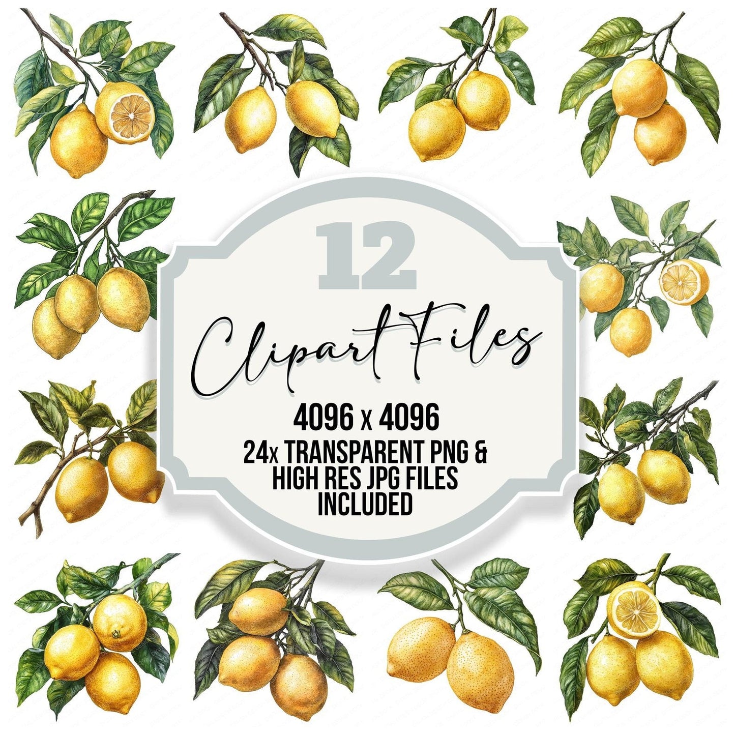 Vintage Lemons Watercolour Clipart Set (DDD006886)