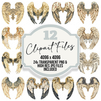 Vintage Pattern Angel Wings Clipart Set (DDD006895)