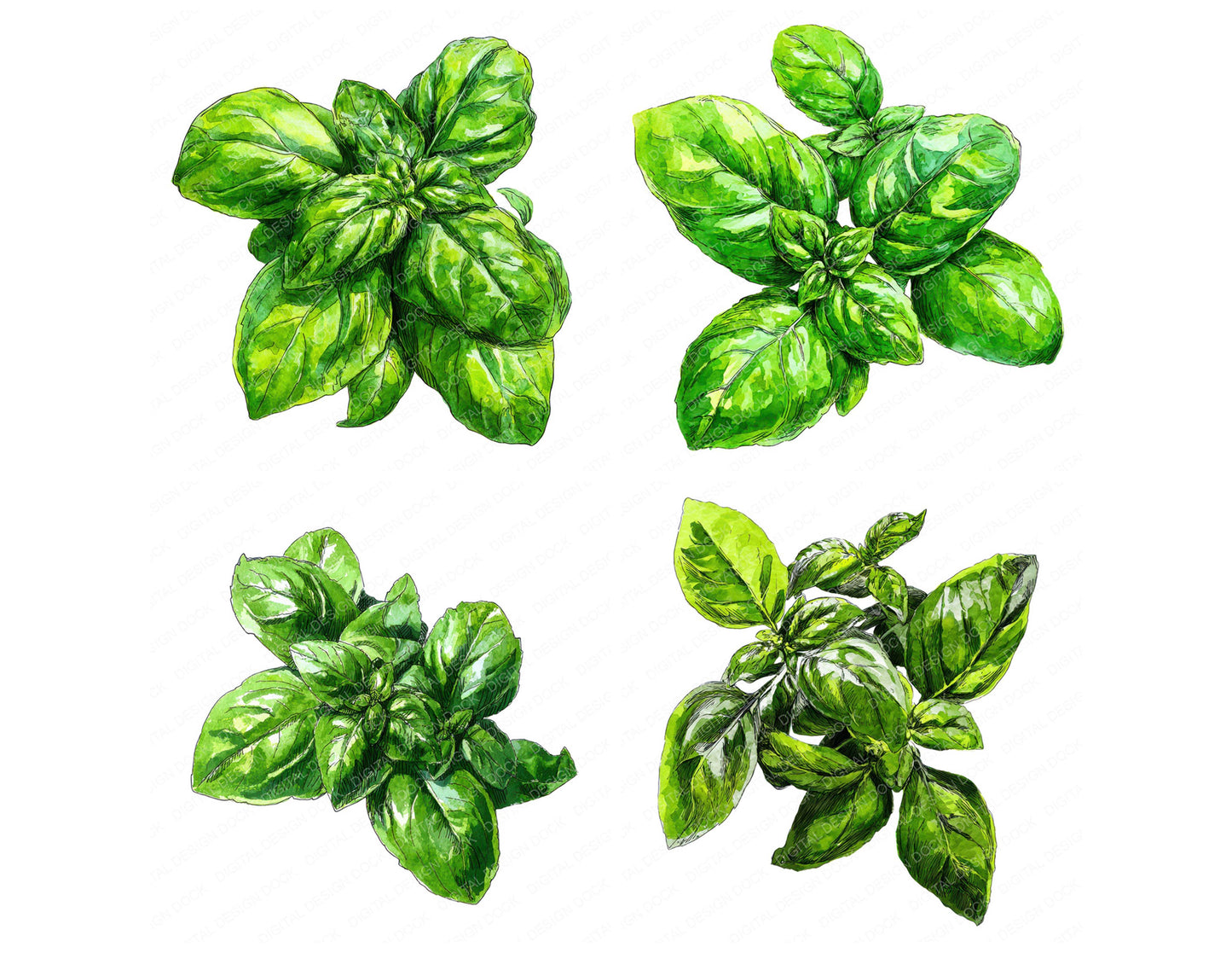 Preview layout showing Watercolour Basil Leaves clipart elements for scrapbooking, junk journals, and card making