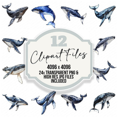 Watercolour Blue Whale clipart set cover showing the designs and file details