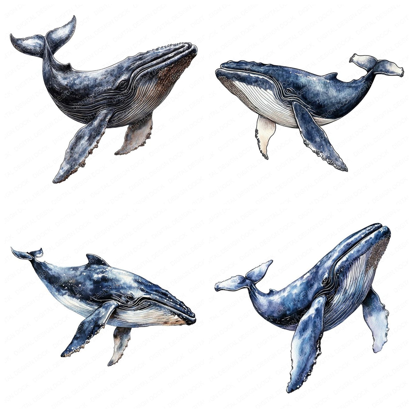 Watercolour Blue Whale Clipart Set (DDD006989)