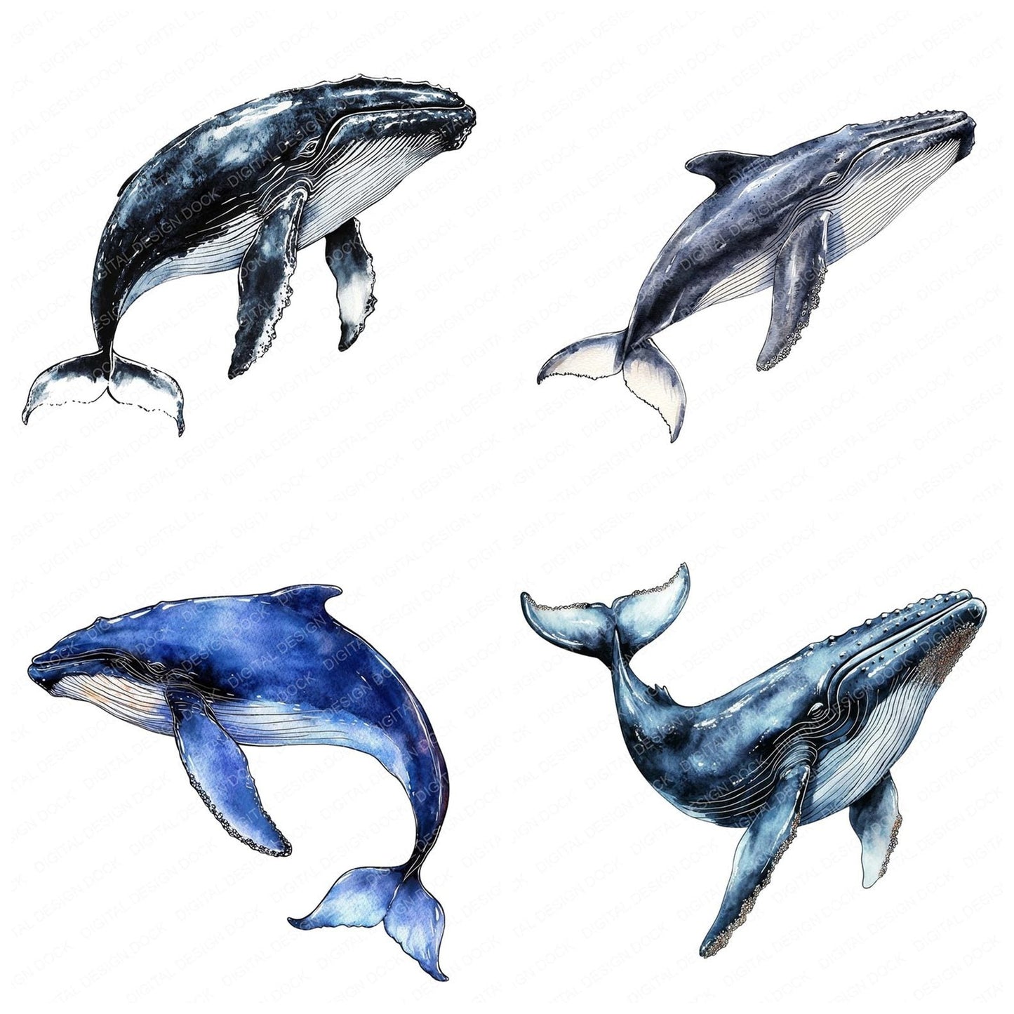 Watercolour Blue Whale Clipart Set (DDD006989)