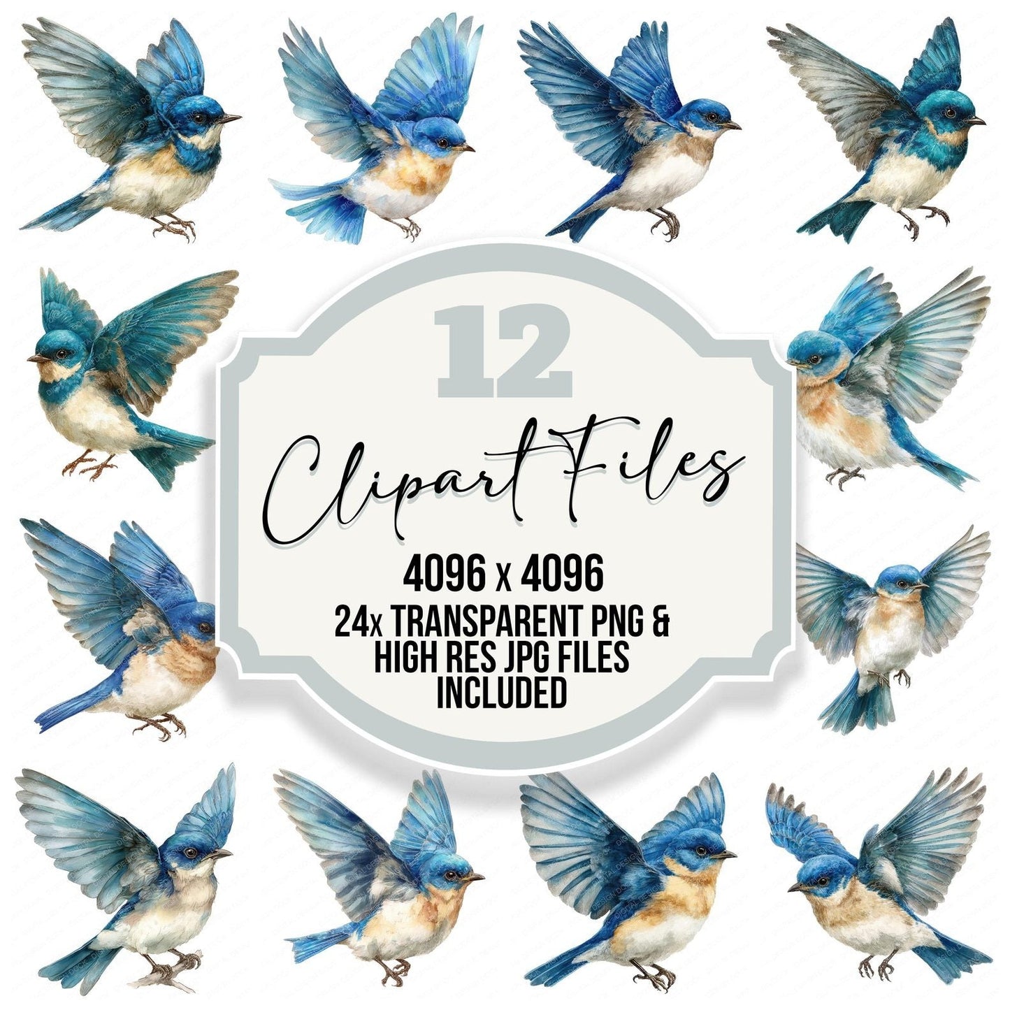 Watercolour Bluebird Clipart Set (DDD006990)
