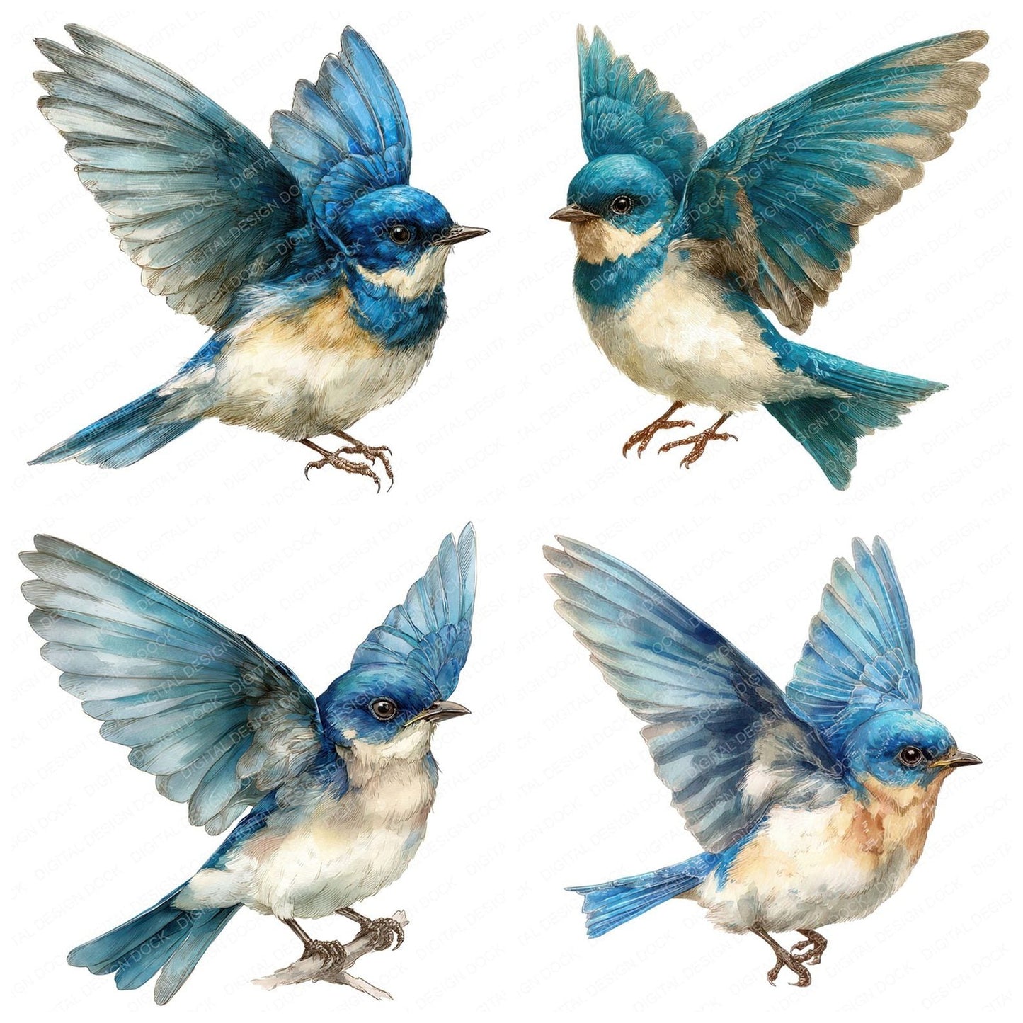 Watercolour Bluebird Clipart Set (DDD006990)