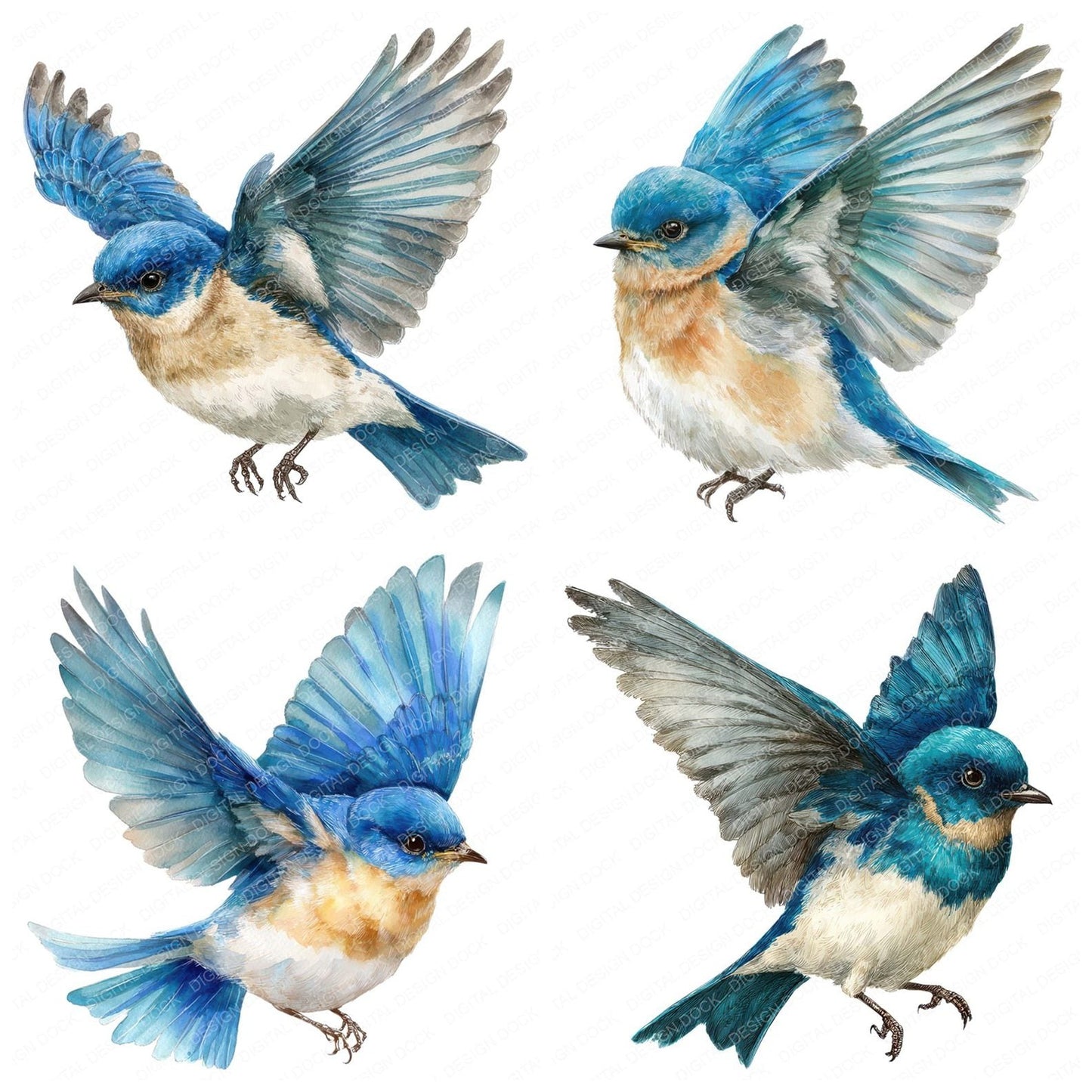 Watercolour Bluebird Clipart Set (DDD006990)