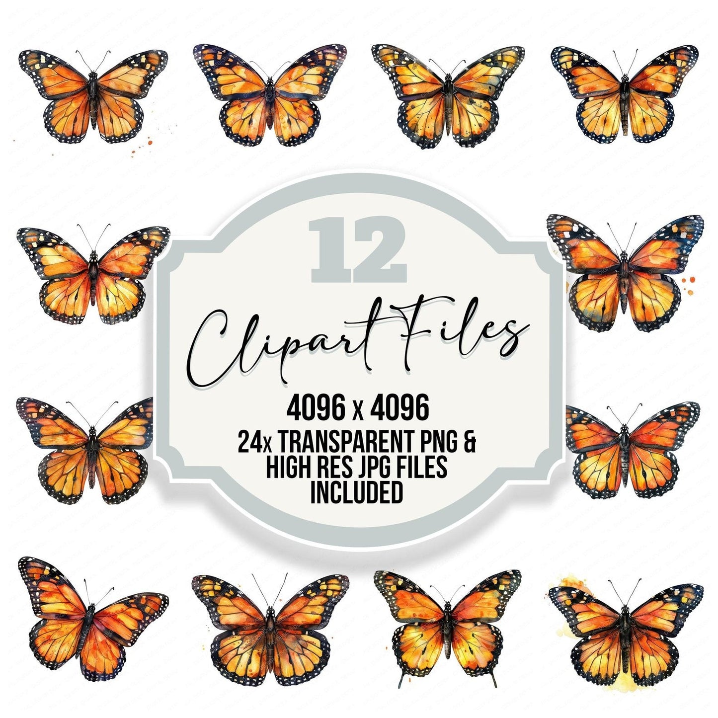 Watercolour Butterfly Monarch Clipart Set (DDD007021)