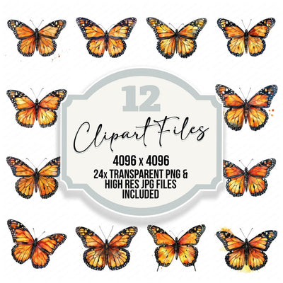Watercolour Butterfly Monarch Clipart Set (DDD007021)