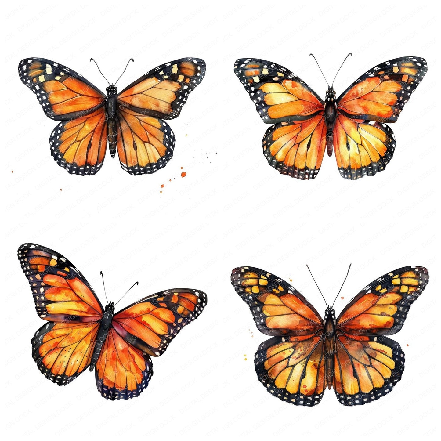 Watercolour Butterfly Monarch Clipart Set (DDD007021)
