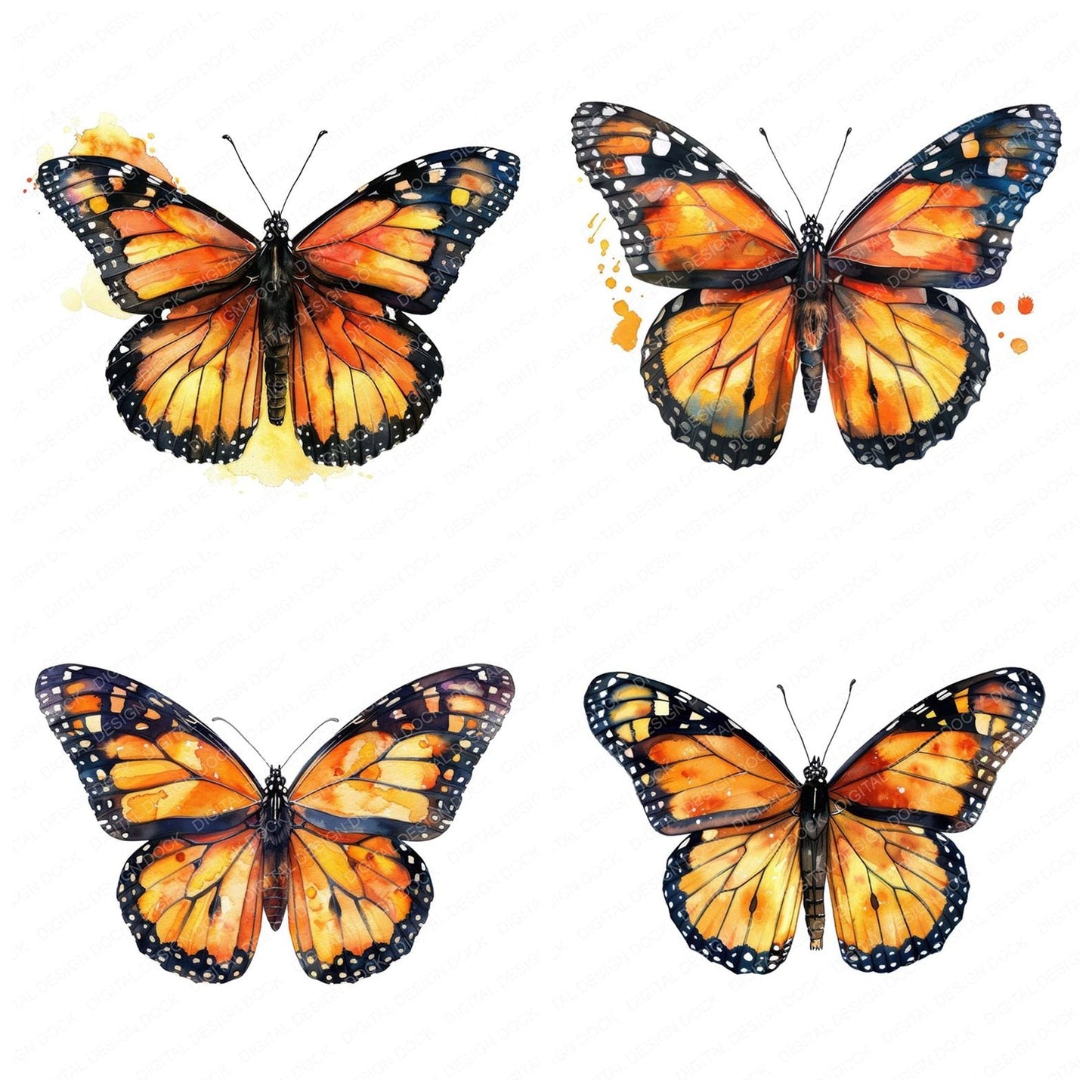 Watercolour Butterfly Monarch Clipart Set (DDD007021)