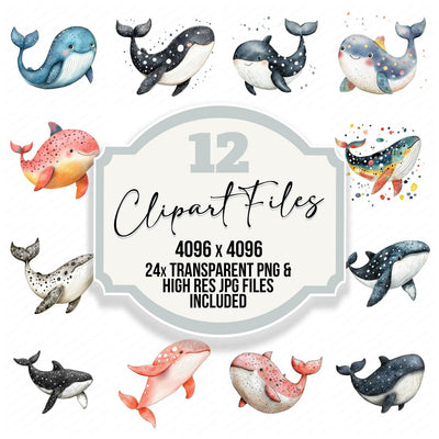 Watercolour Cartoon Whale Spots Clipart Set (DDD007028)