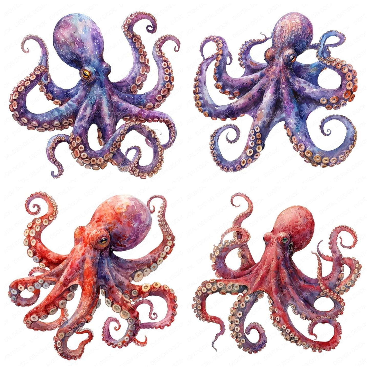 Watercolour Colourful Octopus Clipart Set (DDD007067)